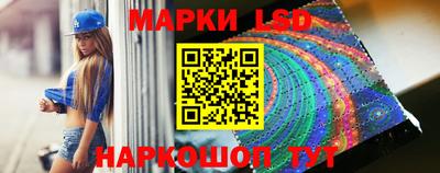 молекула духа Будённовск