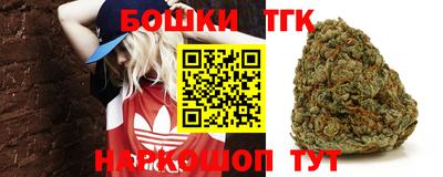 молекула духа Будённовск
