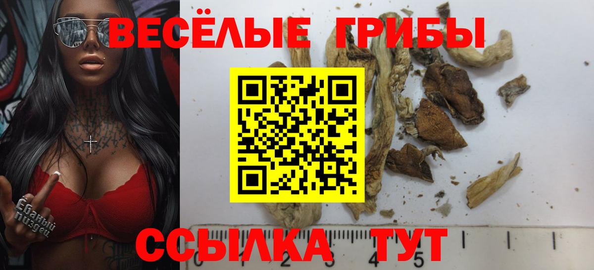 Реутов  Галлюциногенные грибы мицелий  Вход с VPN 